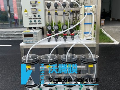 電滲析設(shè)備WTM-ED2040-20
